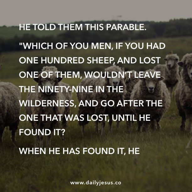 lost sheep
